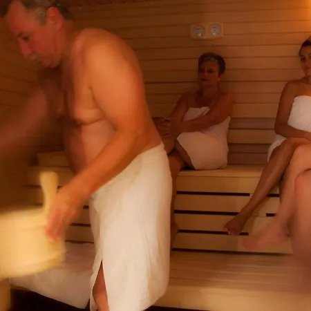 莱斯艾利泽斯餐厅酒店 酒店 里珀舍姆