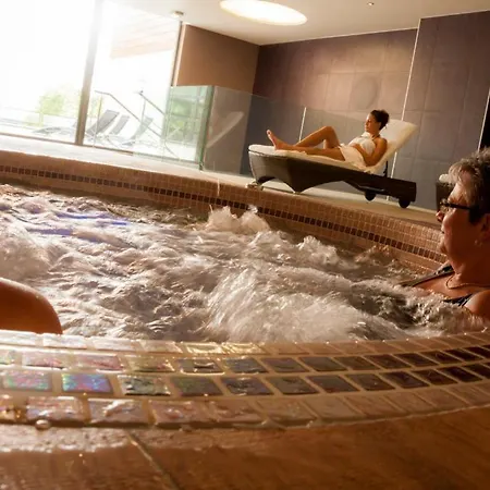 莱斯艾利泽斯餐厅酒店 里珀舍姆