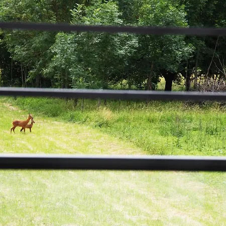 莱斯艾利泽斯餐厅酒店 里珀舍姆