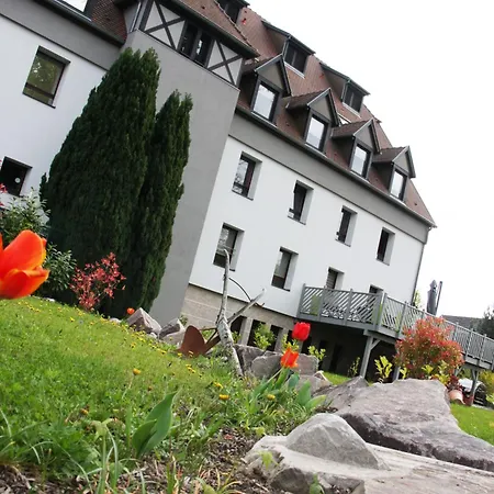 Restaurant Les Alizes Lipsheim