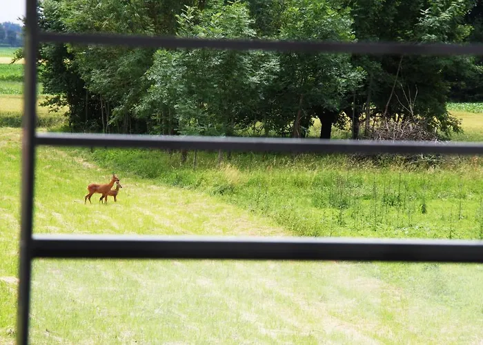 Restaurant Les Alizes Липсхайм