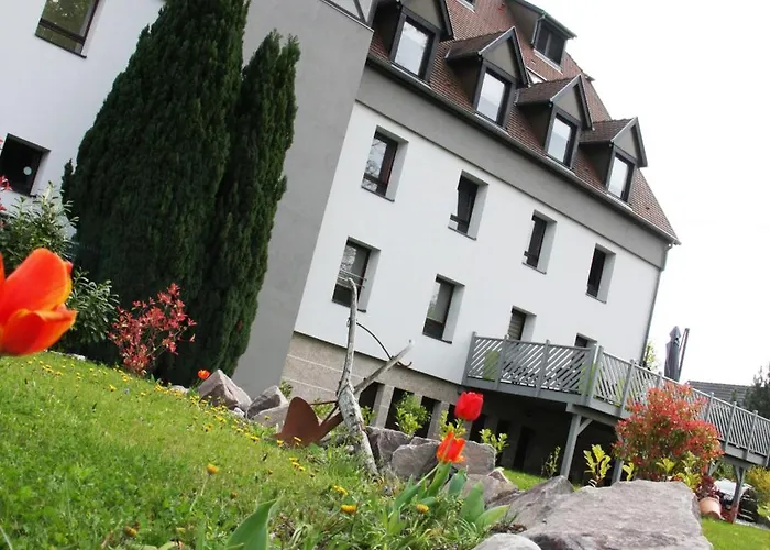 فندق ومطعم لي أليزيس Lipsheim